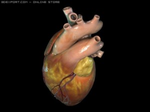 heart0 3D Model