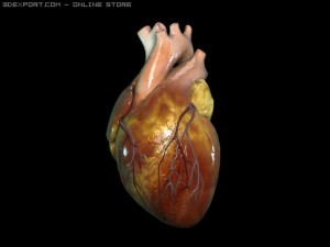 heart0 3D Model