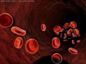 artire blood 3D Model