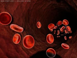 artire Blut 3D Modell