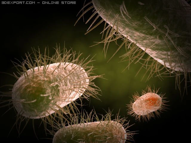 becteria 3D Model .c4d .max .obj .3ds .fbx .stl .blend 