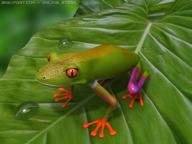 green frog 3D Model .c4d .max .obj .3ds .fbx .stl .blend 