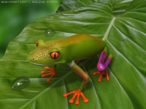 green frog 3D Model
