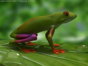 green frog 3D Model