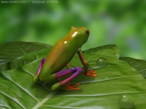 green frog 3D Model