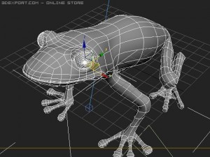 green frog 3D Model