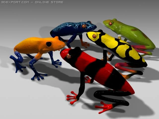 poison frog 3D Model .c4d .max .obj .3ds .fbx .stl .blend