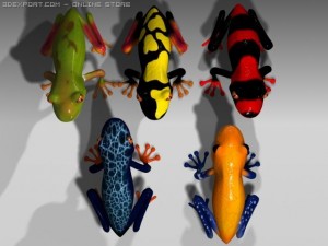 poison frog Modelo 3D