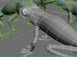 poison frog 3D Model