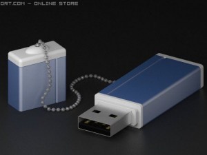 flash card 3D Model