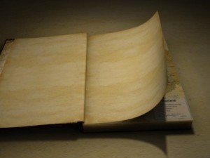 book animate open 3D 모델