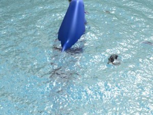 irrawaddy dolphin 3Dモデル