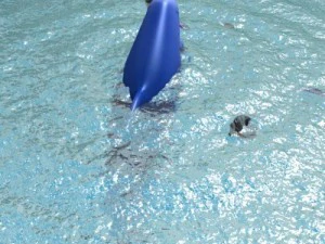 irrawaddy dolphin 3D Model