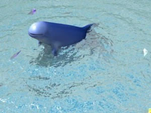 irrawaddy dolphin 3D Model