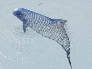 irrawaddy dolphin 3D Model