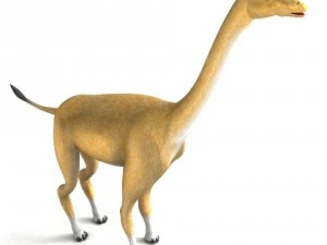 aepycamelus 3D Модель