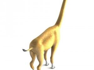 aepycamelus 3D Модель