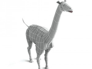 aepycamelus 3D Модель