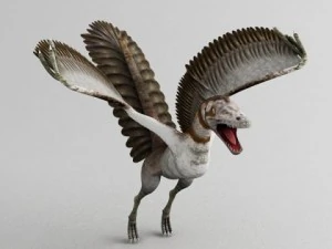 archaeopteryks Model 3D