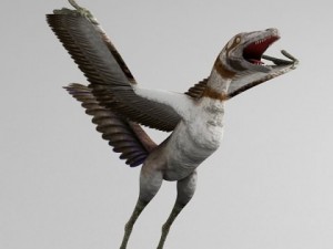 archaeopteryx 3D 모델