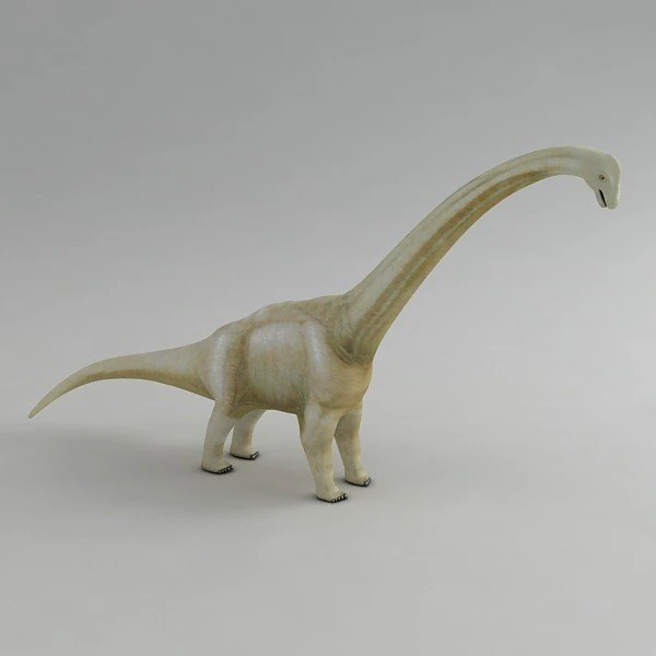 brachiosaurus 3D Model .c4d .max .obj .3ds .fbx .stl .blend 