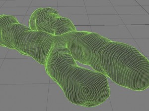chromosome Modello 3D