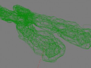 chromosome Model 3D