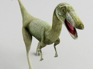 coelophysis 3D Model