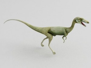 coelophysis 3D 모델