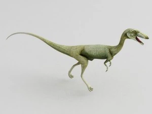 coelophysis 3D Model