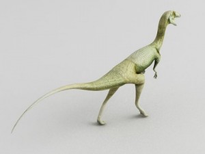 coelophysis 3D 모델