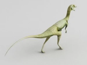 coelophysis 3D Model
