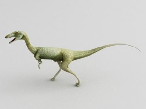 coelophysis 3D 모델