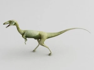 coelophysis 3D Model