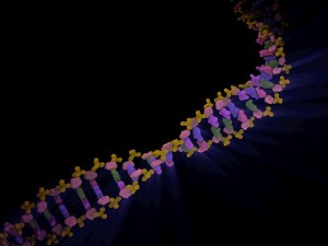 dna Modelo 3D