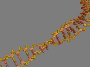 dna Modelo 3D