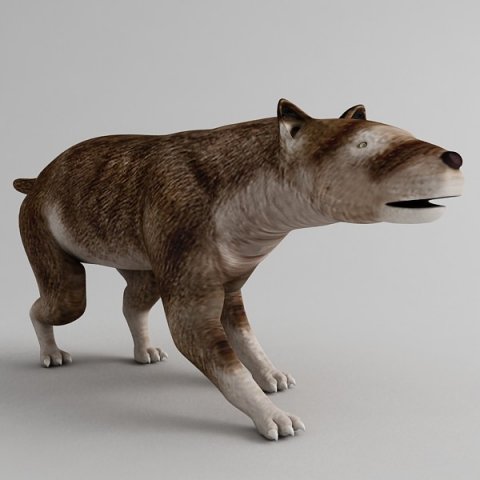 hemicyon Modello 3D .c4d .max .obj .3ds .fbx .stl .blend