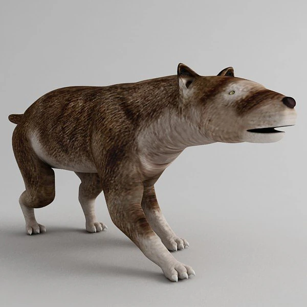 hemicyon 3D Model .c4d .max .obj .3ds .fbx .stl .blend 