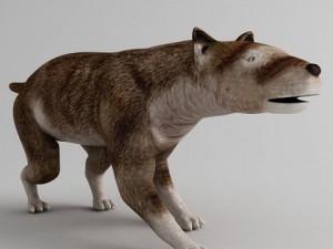 hemicyon 3D Model
