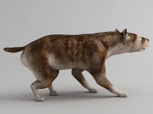 hemicyon 3D Model