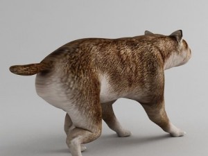 hemicyon Modello 3D