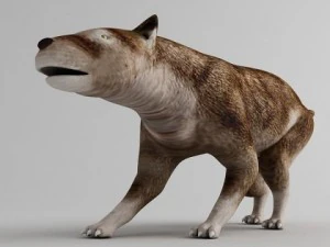 hemicyon 3D Model