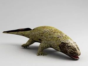 어치오스테가 3D 모델