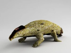 ichthyostega 3D Model