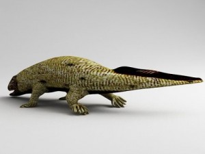 ichthyostega 3D-Modell