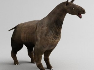 indricotherium 3D Model