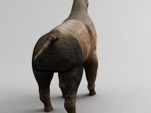 indricotherium 3D 모델