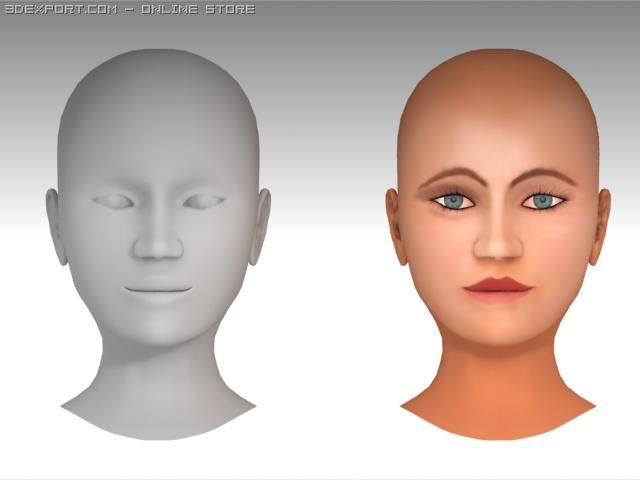 face 3Dモデル .c4d .max .obj .3ds .fbx .stl .blend 