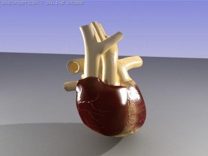 heart 3D Модель