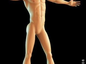 basic male figure rigged 3D 모델